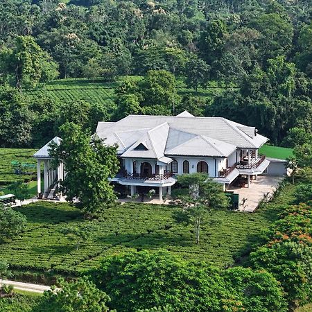 Vaani Greens Wildlife Resort, Kaziranga Kuthari エクステリア 写真